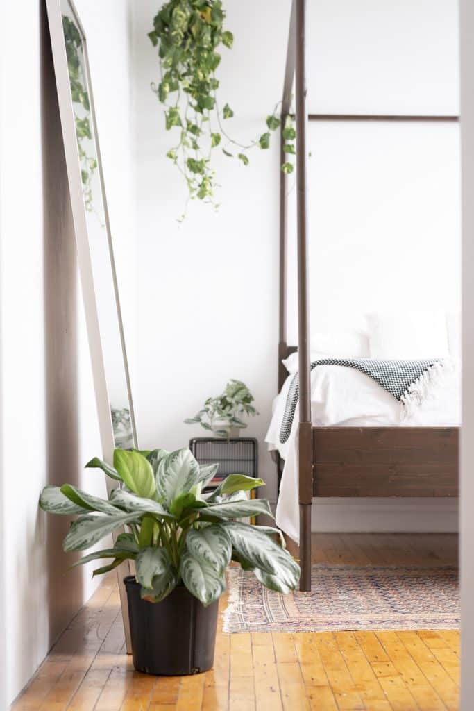 A bedroom decorated with plants